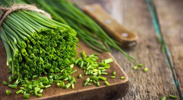 10 продуктів, з яких можна виростити зелень вдома