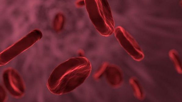 Групи крові за рідкістю, та інші цікаві факти про кров