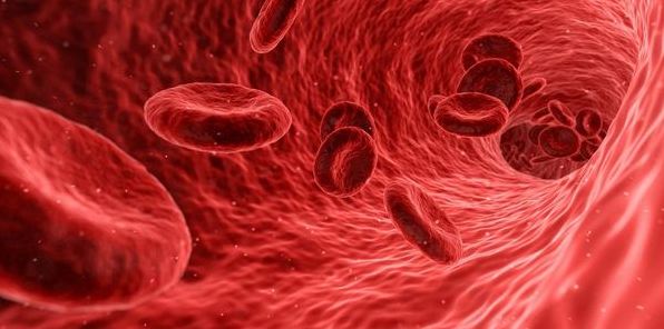 Групи крові за рідкістю, та інші цікаві факти про кров
