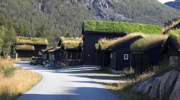 Навіщо в Скандинавії садять траву на дахах будинків
