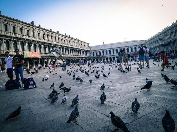 Венеція: де знаходиться і що там обов'язково потрібно подивитися і зробити