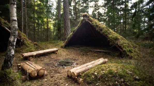 Виживання в лісі: основні корисні правила та поради