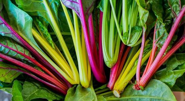 5 найбільш вітамінних листових овочів, які потрібно їсти просто зараз