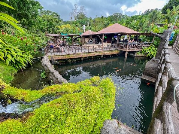 Эти 8 курортов Коста-Рики стоят того, чтобы на них прилететь