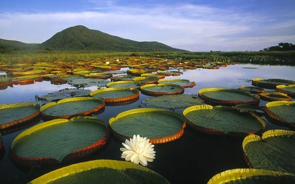 10 самых фотогеничных болот Азии