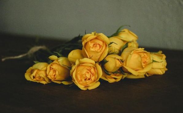 До чого сняться троянди: тлумачення за різними сонниками