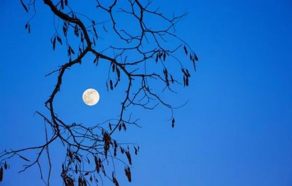 Місячний календар на березень 2023: фази Місяця, сприятливі та несприятливі дні