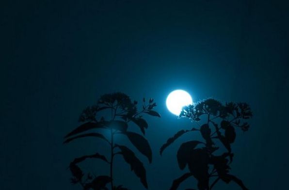 Місячний календар на серпень 2023: фази Місяця, сприятливі та несприятливі дні