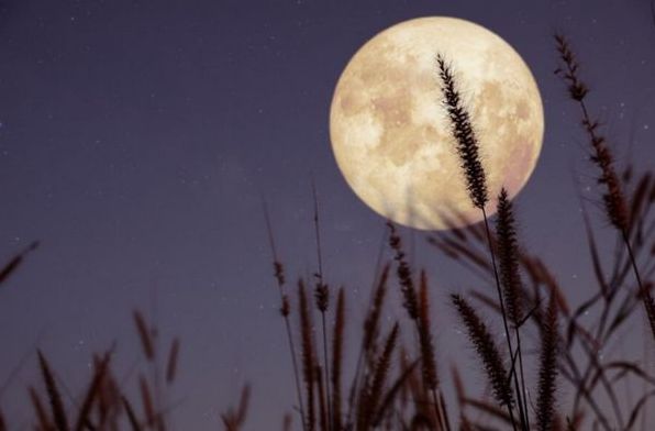 Місячний календар на вересень 2023: фази Місяця, сприятливі та несприятливі дні