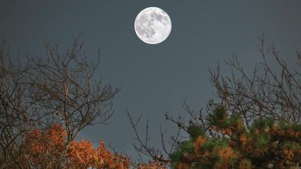 Місячний календар на жовтень: 2022 фази Місяця, сприятливі та несприятливі дні