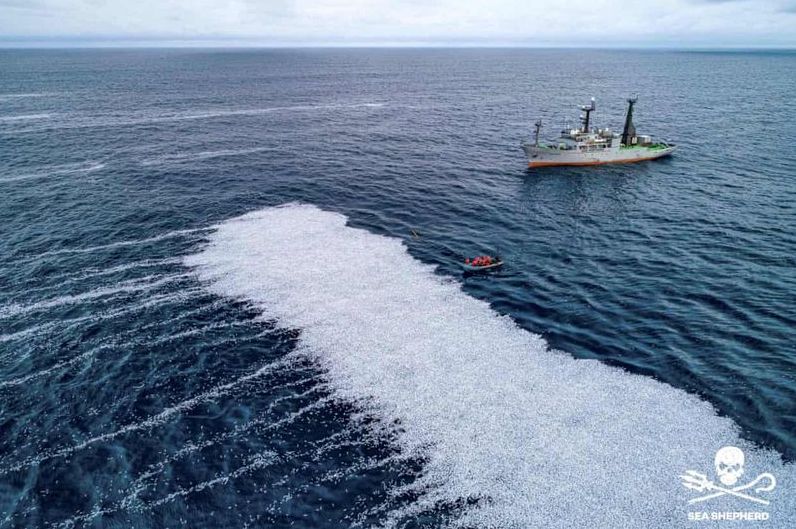 Шокирующая находка в Атлантическом океане: голландский траулер Margiris заподозрен в сбросе 100 000 мертвых рыб