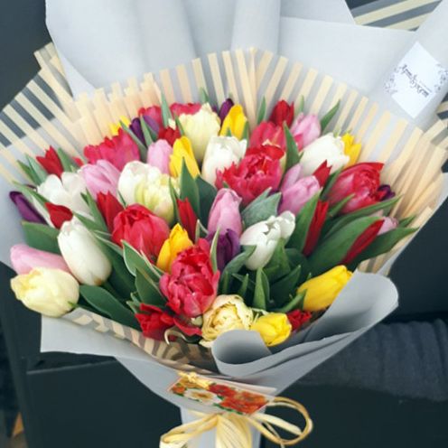 Тюльпани: Вічний символ весни та елегантності